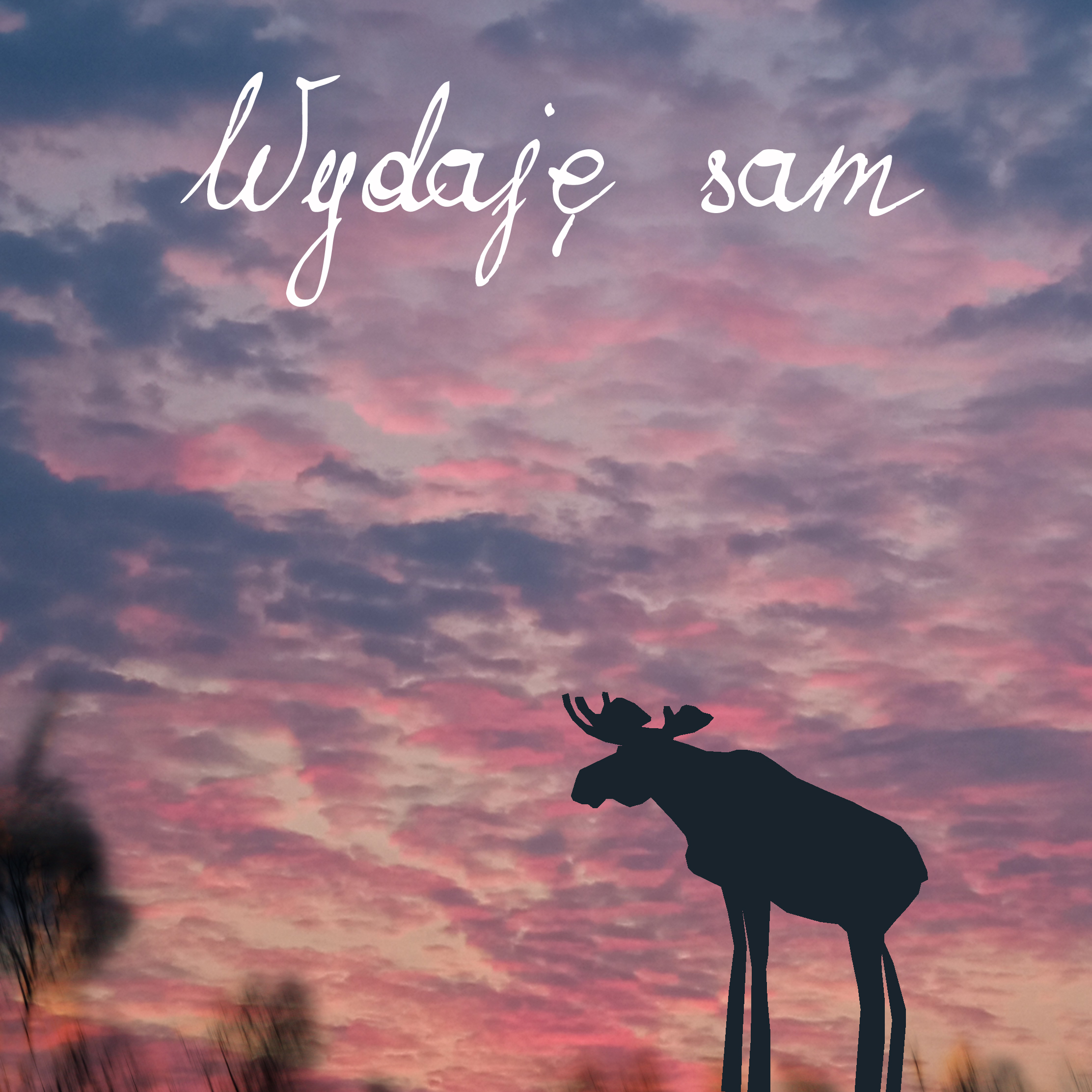 WYDAJĘ SAM FOT 1 NAP